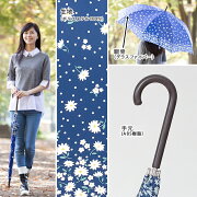 大きいジャンプ傘レディース雨傘65cm×8本骨長傘グラスファイバー【LIEBEN-0478】naga