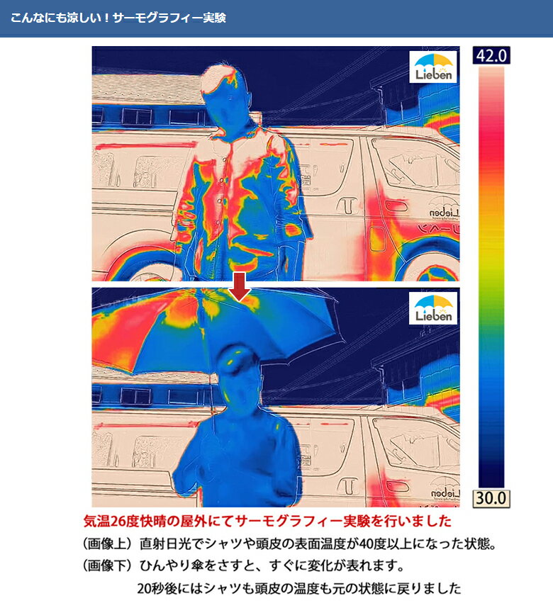 アウトレット(キズ・汚れ等) 日傘 シルバーキングサイズ手開き傘 80cm×8本骨 メンズ 晴雨兼用 ゴルフ傘 UPF50+ UVカット率・遮光率99％以上 ひんやり傘 【LIEBEN-0197】 大きい傘/男の日傘 naga