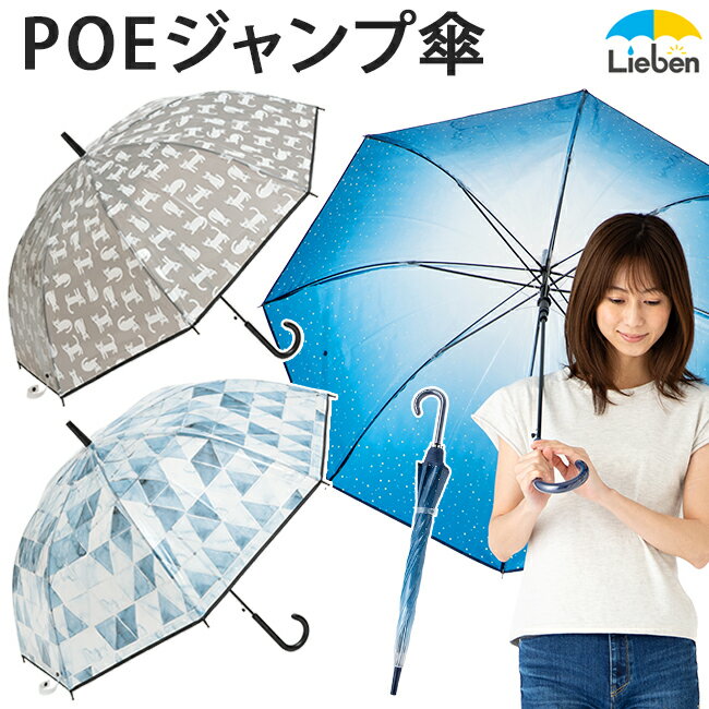 rj[P POEvgWvP 60cm~8{ fB[X IV JP ^b` X^[   L ^C 킢 v SNS CX^f ʋ ʊw  LIEBEN-0664