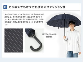 円に近い美しいフォルムがきれいです