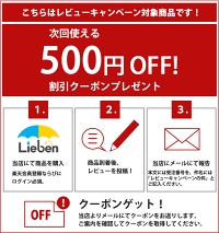 レビューキャンペーン