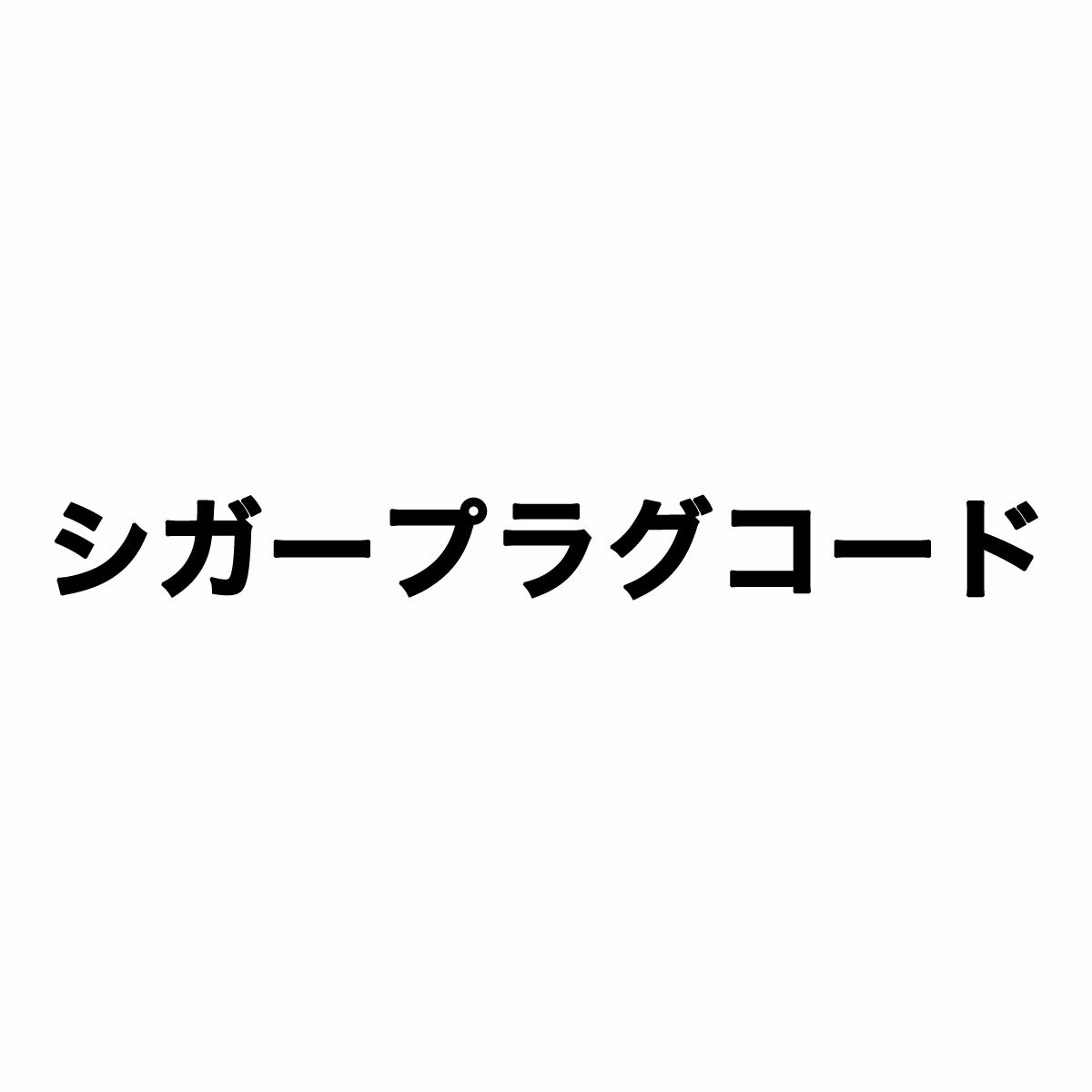 ドライブレコーダー用 シガープラグコード（HDR-mini01、HDR-W10、HDR-W20G、HDR-W100L、HDR-W200L、HM-030、HM-061L、HDR-W10 PLUS、HM-031SL　 取替品）