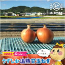 淡路島産うずしお追熟甘玉ねぎ【うずしお追熟甘玉ねぎ 2L 20kg】東中青果 うずしおファーム 追熟玉ねぎ 新鮮 玉葱 タマネギ たまねぎ 甘い限定品 絶品玉ねぎ ブランド玉ねぎ ひょうご安心ブランド認証玉ねぎ JGAP農場栽培玉ねぎ