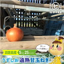 淡路島産うずしお追熟甘玉ねぎ【うずしお追熟甘玉ねぎ 2S 5kg】東中青果 うずしおファーム 玉ねぎ 新鮮 玉葱 タマネギ 甘い 限定品 絶品玉ねぎ ブランド玉ねぎ ひょうご安心ブランド認証玉ねぎ JGAP農場栽培玉ねぎ