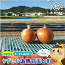 淡路島産うずしお追熟甘玉ねぎ サイズお任せ【うずしお追熟甘玉ねぎ 2S~3L 3kg】東中青果 うずしおファーム うずしお新玉ねぎ 追熟 新鮮 甘い 絶品玉ねぎ ブランド玉ねぎ ひょうご安心ブランド認証玉ねぎ JGAP農場栽培玉ねぎ