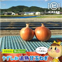 淡路島産うずしお追熟甘玉ねぎ【うずしお追熟甘玉ねぎ L 5kg】東中青果 うずしおファーム 追熟 玉ねぎ 新鮮 玉葱 タマネギ たまねぎ 甘い 限定品 絶品玉ねぎ ブランド玉ねぎ ひょうご安心ブランド認証玉ねぎ JGAP農場栽培玉ねぎ