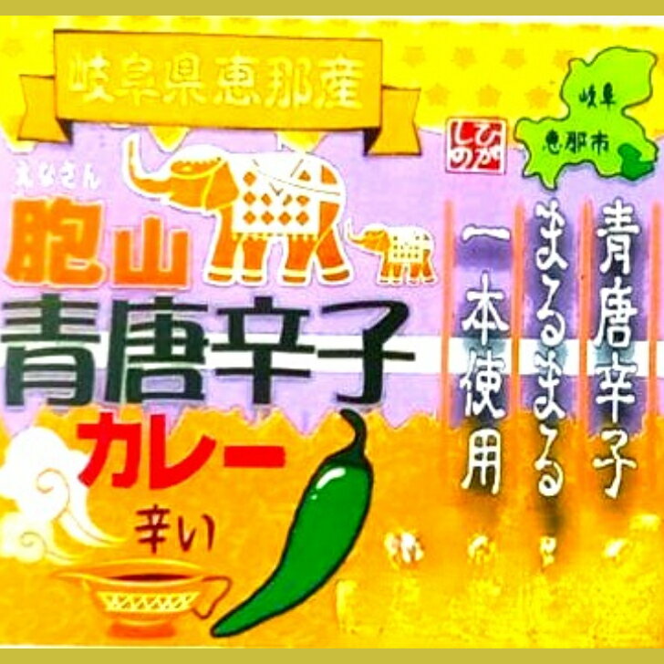 【岐阜県恵那産】青唐辛子カレー 2個セット 国産 安心 岐阜県 えな 恵那産 ひがしの 東野 辛い 生産者 唐辛子　青唐辛子 カレー お手軽 簡単 レトルトご当地カレー ご当地