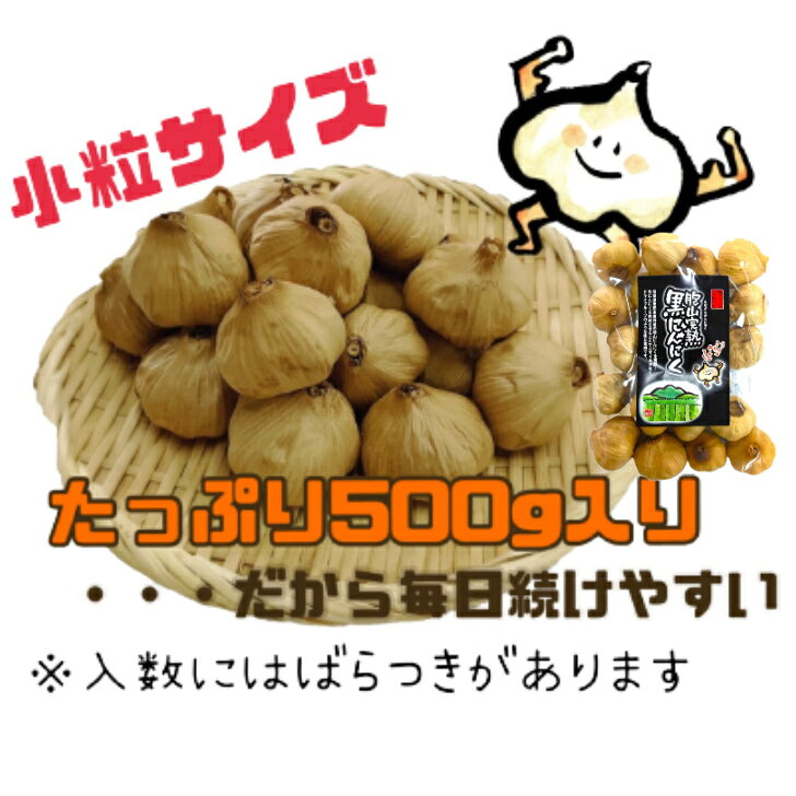 岐阜からお届け！産地直送！にんにくお楽しみセット 国産 安心 岐阜県 えな 恵那産...