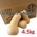 国産【岐阜県恵那産】バターナッツかぼちゃ 4.5kg岐阜県 恵那山 ひがしの 甘い 生産者 かぼちゃ 得用 不揃い 無選別 大容量
