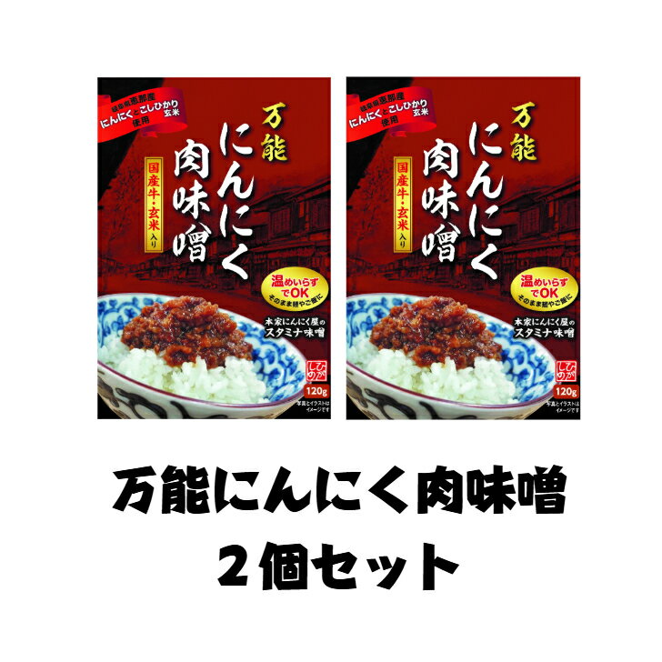 国産【岐阜県恵那産】万能にんにく肉味噌2個セット 国産 安心 岐阜県 えな 恵那産 ひがしの 東野 にんにく 味噌 生産者 安全 レトルト お手軽 ご当地(4)