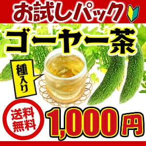 【ポッキリ】【送料無料】【通販限定お試しパック】【ゴーヤ茶】ゴーヤー茶（ティーバック） （ゴーヤ茶 ゴーヤ　にがうり お茶 健康茶　苦くない　ティーパック　種 沖縄 お土産 みやげ）【比嘉製茶】