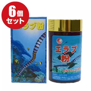 【沖縄県産】エラブ粉〔100g〕 6個｜アミノ酸・必須アミノ酸・DHAがたっぷりの比嘉製茶エラブ粉 LP