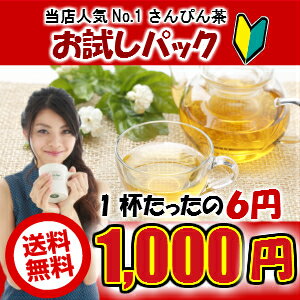 【ポッキリ】【送料無料】【通販限定お試しパック】【さんぴん茶】不思議なお茶 さんぴん茶（8g×20袋）ティーバック （さんぴん茶 ジャスミンティー ジャスミン茶 さんぴん茶 お茶 ティーパック 沖縄 お土産 みやげ）【比嘉製茶】