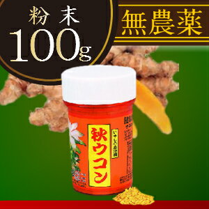 秋ウコン粉 100g(容器入)(ターメリック)...の紹介画像2