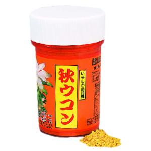 秋ウコン粉　100g（容器入）（ター