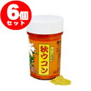 秋ウコン粉 100g(容器入)6個セット(ターメリック)|クルクミンたっぷりの秋ウコンの粉末! ◎LP