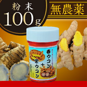 春ウコン＋紫ウコン粉〔100g〕｜クルクミン豊富で注目の春ウコンのとダイエットで注目の紫ウコン