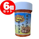 春ウコン＋紫ウコン粉〔100g〕×6個｜クルクミン豊富で注目の春ウコンのとダイエットで注目の紫ウコン　◎LP 1