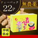 春ウコンティーパック〔2g×22P〕｜クルクミン豊富な春ウコンを飲みやすくお茶にしました 2