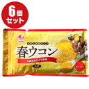 【送料無料】春ウコン（袋入り100g）×6個セット 粉末タイプ（春ウコン粉 春ウコン茶 ウコン うこん クルクミン マグネシウム 食物繊維 健康食品 サプリ サプリメント 詰め替え用 詰替え）【比嘉製茶】