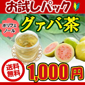 【ポッキリ】【送料無料】【通販限定お試しパック】【グァバ茶】グァバ茶（ティーバック） （ グアバ茶　グァバ　グアバ　グァバ葉ポリフェノール　ノンカフェイン　血糖値　お茶 健康 沖縄 お土産 みやげ）【比嘉製茶】