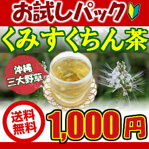 【ポッキリ】【送料無料】【通販限定お試しパック】【クミスクチン茶】くみすくちん茶（ティーバック） （ クミスクチン茶　クミスクチン　くみすくちん　ねこのひげ　むくみ　お茶 健康 沖縄 お土産 みやげ）【比嘉製茶】