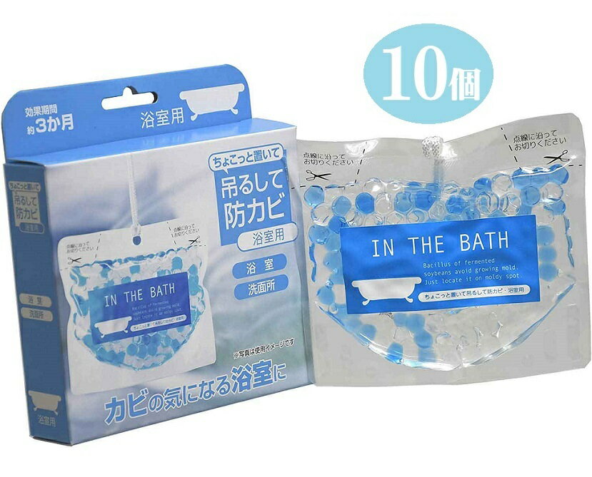 ちょこっと置いて吊るして 防カビ・浴室用 10個組 洗面所 浴室 シャワールーム バスルーム BB菌 化学薬品不使用 バイオパワー 日本製