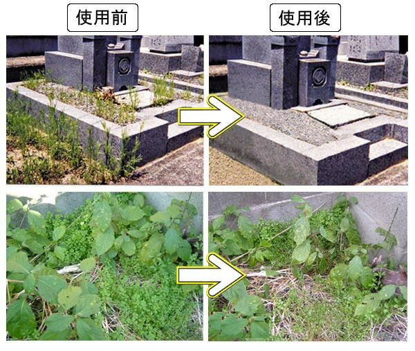 2個組 除草剤 ウィードブライト 人畜 無害 安心 住宅 駐車場 道路 墓地 空き地 雑草 農薬 薬剤 食品添加物 不使用 子供 ペット 安心 非農用地専用 除草剤 土壌 弱酸性 草 根 草木 枯らす 万葉創業社 日本製 2