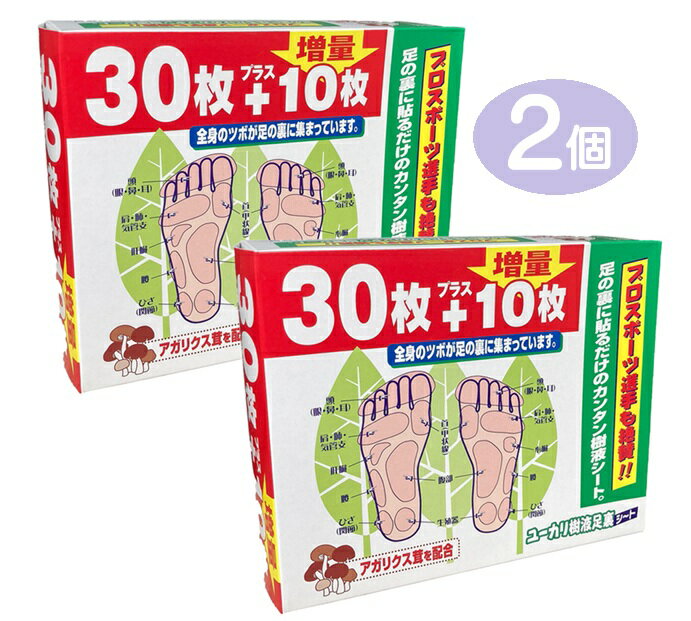 2個組 ユーカリ樹液足裏シート 30枚+