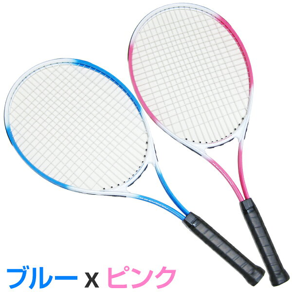 �ż��ƥ˥��饱�å� 2�ܥ��å� �ƥ˥��ܡ���4���� �鿴�Ը� JOHNSON HB-19 ����̵��