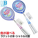 バドミントンセット ラケット 2本セット シャトルコック付き JOHNSON パープル ブルー
