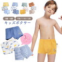 限定30%OFF【更にLINE追加で5%OFF】 ボクサー パンツ セット 3枚 子供 パンツ 下着 男の子 100 キッズ ジュニアショーツ ショーツ 肌着 ...