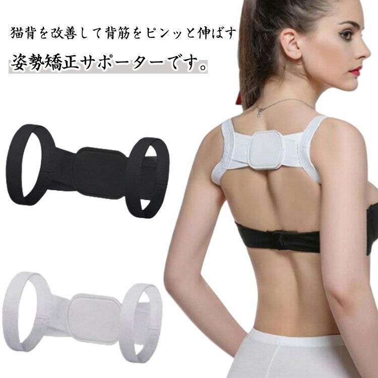 ���������٥�� 2�ĥ��å� ����ʡ� �٥�� �������ݡ����� �ضڥԥ� �����ݡ����� 2�ĥ��å� �ޤ����� ǭ�ض����٥�� ���ݡ����� �ض� ���ݡ��� �Ƥ��ˤ�...