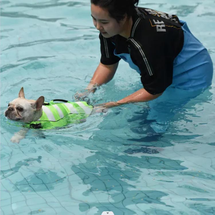 犬用 ライフジャケット 浮き輪 小型犬 中型犬 大型犬 水遊び 水泳 ライフベスト フローティングベスト 海 川 救命胴衣 反射ライン 安心 事故防止 安全 リハビリ 犬用品 ペット用品 グリーン 【送料無料】