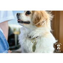 ●DOGS FOR PEACE ドッグスフォーピース MOTEL KEY CHARM モーテルキーチャーム 960002 【 ペット 首輪 雑貨 キーホルダー バッグ 真鍮 】【メール便・代引不可】