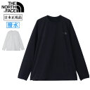 THE NORTH FACE ノースフェイス Apex Light Piste エイペックスライトピステ NP22481 【トップス 長袖 Tシャツ ロンT ストレッチナイロン トレーニング ヨガ 日本正規品】