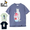 go slow caravan ゴースローキャラバン Drymix カキ氷猫TEE 325601 