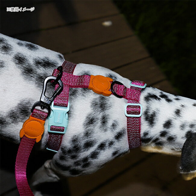 ��zee.dog �����ɥå� H-HARNESS XS H�ϡ��ͥ�XS �� �� ƹ�� ��æ��ñ �����ȥɥ� ���� �ۡڥ᡼���ء�����Բġ�