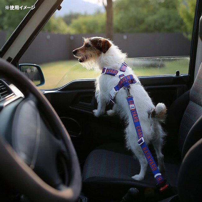 ●CHARLIE’S BACKYARD チャーリーズバックヤード TRIP SEATBELT トリップシートベル...