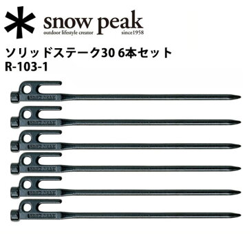 【11月1日24時間限定！楽天カード決済でP8倍】【スノーピーク/snow peak】【6本セット】 テント スノーピーク ペグ ソリッドステーク30 6本セット タープ小物 R-103-1【SP-TACC】 お買い得 【highball】