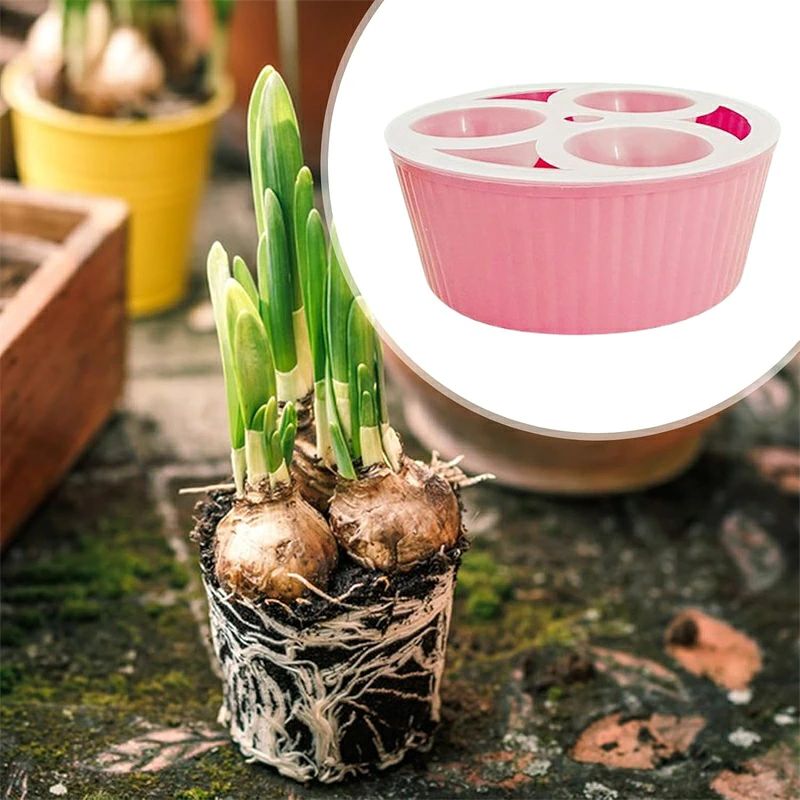 ハイホープの観葉植物鉢対 花球根用ア鉢 専用水耕栽培プランター孔 3穴ヒヤシンスプランター 水栽培セット 球根 ヒヤシンス 三孔設計 ポット｜アングル3