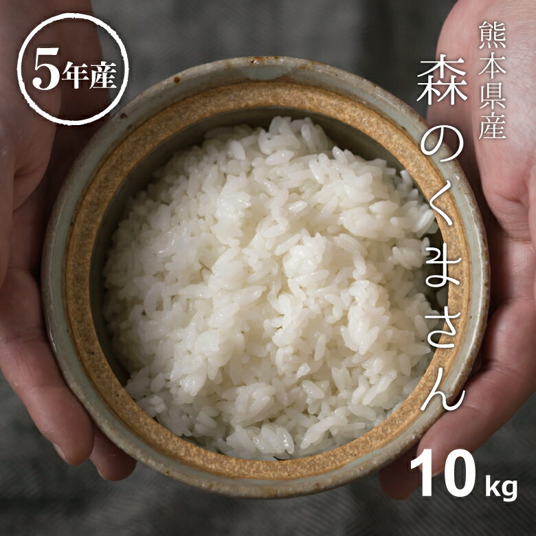 米 白米 10kg 送料無料 森のくまさん 熊本県産 令和5年産 米 10kg 送料無料 白米 お米 10kg 送料無料 米10kg 送料無料 贈答用 ギフト