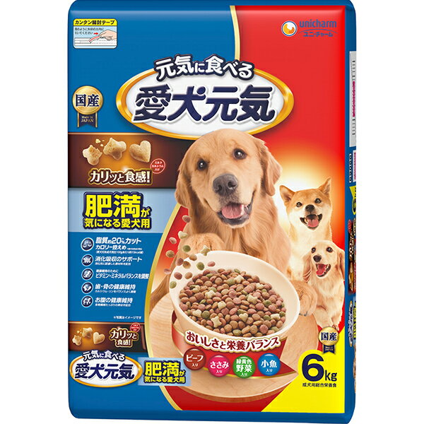 Aiken Genki - 愛犬元気 肥満が気になる愛犬用 ビーフ・ささみ・緑黄色野菜・小魚入り 6kg