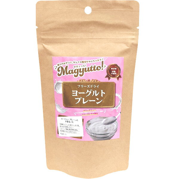 Magyutto！ フリーズドライ ヨーグルト プレーン 22g