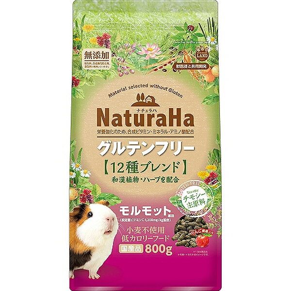 乐天商城 - ナチュラハ グルテンフリー 12種ブレンド モルモット 800g