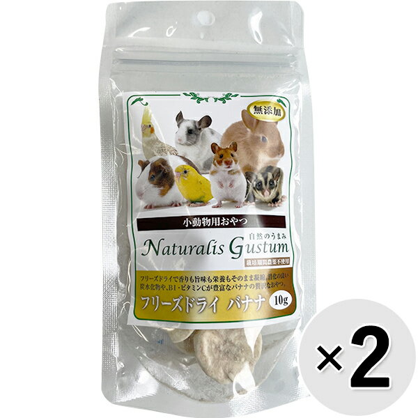 【セット販売】小動物用おやつ 自然のうまみ フリーズドライ バナナ 10g×2コ【scaom0109】