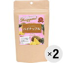 【セット販売】Magyutto！ フリーズドライ パイナップル 15g×2コ〔2309096do〕