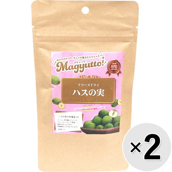 yZbg̔zMagyuttoI t[YhC nX̎ 25g~2Rk24040915dol