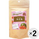 【セット販売】Magyutto! フリーズドライ スイカ 13g×2コ