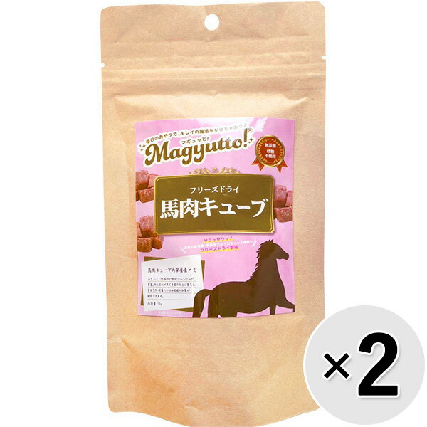 �ڥ��å������Magyutto�� �ե꡼���ɥ饤 �������塼�� 15g��2����26020912do��